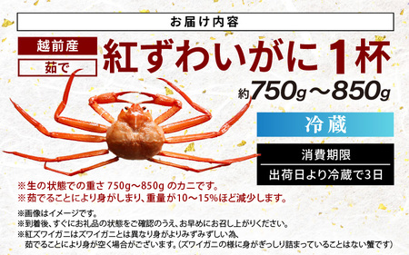 ≪浜茹で≫越前産 紅ずわいがに × 1杯（生で約750g～850g）【2月発送分】【紅ズワイガニ カニ かに 蟹】【紅ずわいがに】希望日指定不可 [e80-x002_02]