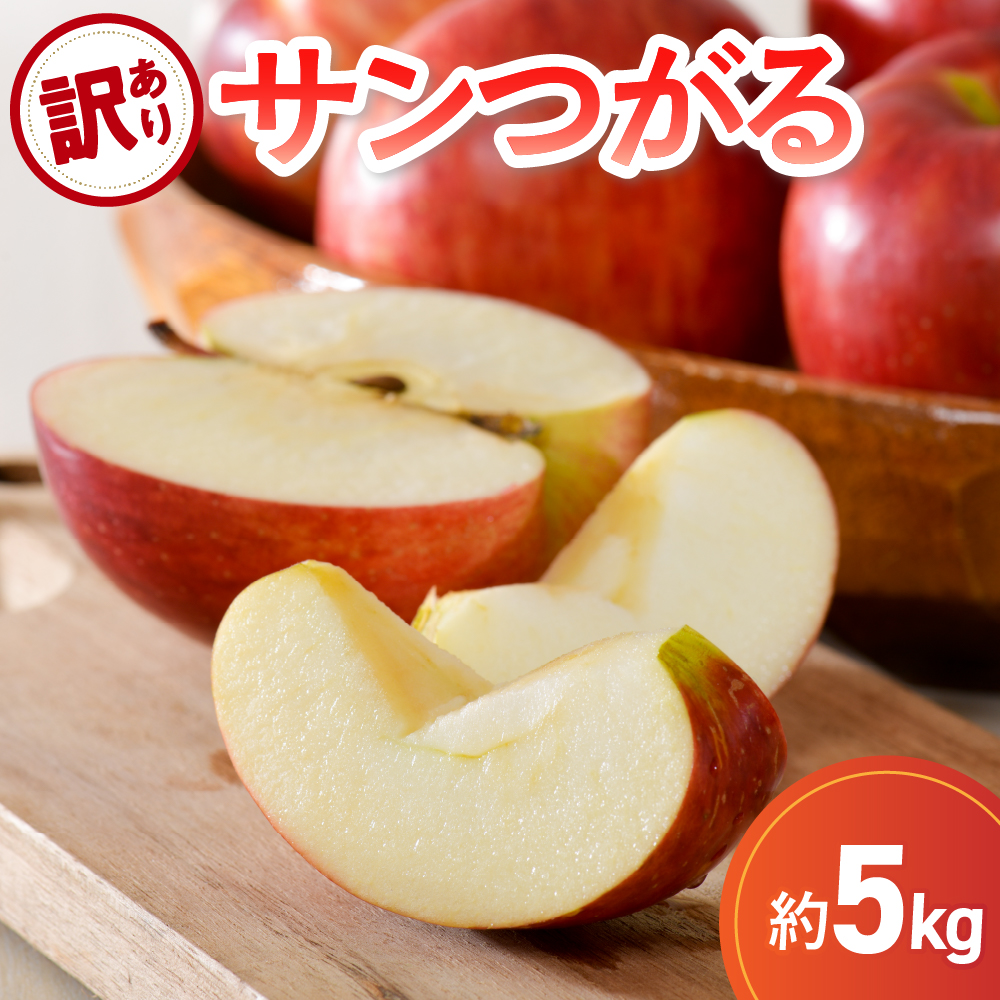【9月発送】 りんご 5kg 【訳あり】 サンつがる 青森県産【2026年 リンゴ 林檎 果物 クール便】