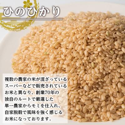 ふるさと納税 出水市 鹿児島県出水市産ひのひかり　玄米12kg_I503 |  | 01