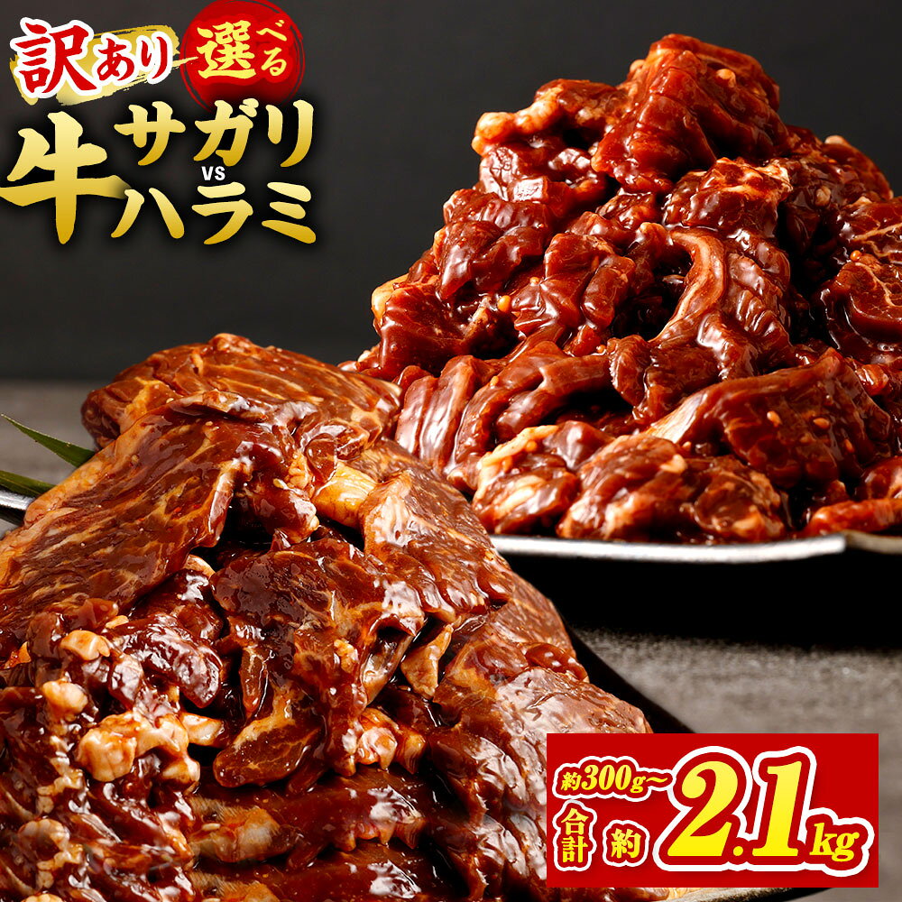 【訳あり】秘伝コク旨たれ漬け牛サガリ肉 1.5kg 300g×5 希少部位 牛サガリ肉 秘伝のタレ 牛肉 お肉 ハラミ タレ漬け 味付き 不揃い サガリ 焼き肉 BBQ 焼くだけ 簡単 肉 おかず 惣菜 真空パック 小分け 冷凍 送料無料