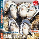 【ふるさと納税】カキ 殻付き 2年貝 約3kg（30個前後） 佐呂間産 ［2回定期便］（2024年10月中旬より発送） 【 ふるさと納税 人気 おすすめ ランキング 牡蠣 カキ かき 貝 牡蠣貝 殻付き ギフト 贈答 酒蒸し 冷蔵 海鮮 オホーツク 北海道 佐呂間町 送料無料 】 SRMA035