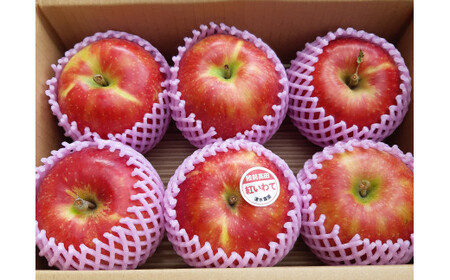 【清水農園】フレッシュ りんご 岩手県のオリジナル品種「紅いわて」約2kg 【 リンゴ 林檎 果物 フルーツ 期間限定 】2025年9月頃から順次発送予定 RT2224