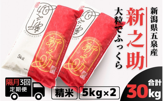 【先行予約】【令和8年産】〈隔月3回定期便〉 新之助 精米 10kg（5kg×2袋） 新潟県 五泉市 有限会社ファームみなみの郷