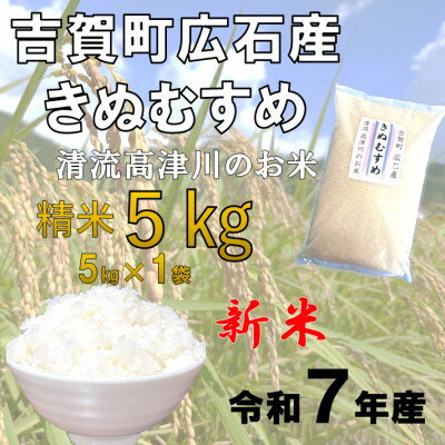 【ふるさと納税】令和7年産　吉賀町広石産きぬむすめ　清流高津川のお米　精米5kg【1679139】