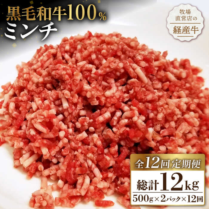 【ふるさと納税】【小分けがうれしい！】【12回定期便】牧場直営店の黒毛和牛100%ミンチ 1000g（500g×2パック）【川崎畜産】黒毛和牛 ミンチ 定期便1kg 100% 牛肉 ひき肉 牧場直営 国産 和牛 冷凍 ハンバーグ 人気 おすすめ 佐賀県 白石町 [IAX022]