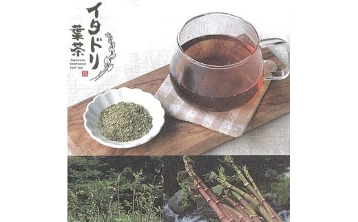 
イタドリ葉茶　約48ｇ（約4ｇ×12包） | ティーバッグ お茶 いたどり 春の山菜 山菜の里 高知 土佐
