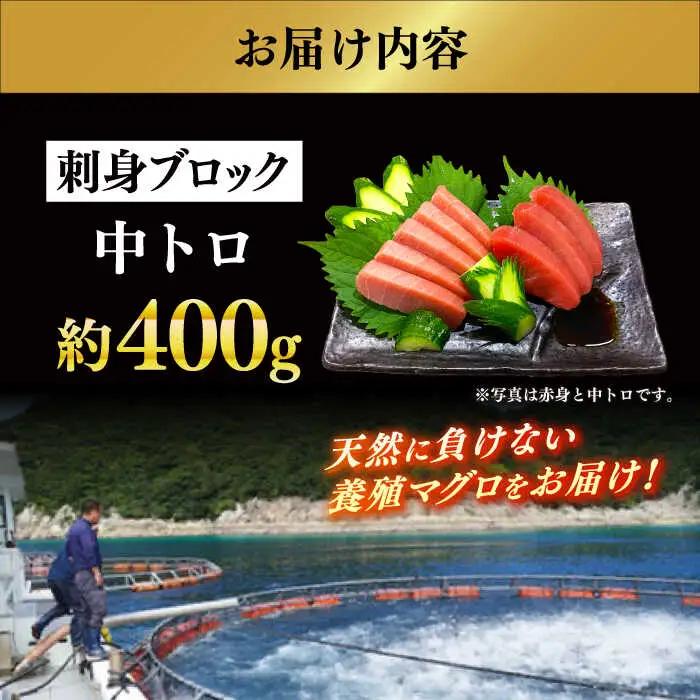 冷蔵！生本マグロ 中トロ 計約400g マグロ まぐろ 鮪 刺身 五島列島産養殖 [RBN016] 本マグロ 本まぐろ 本マグロ 本まぐろ 本マグロ 本まぐろ 本マグロ 本まぐろ九州 長崎