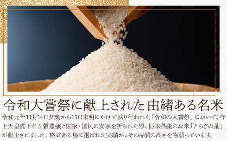 令和7年産 米 お米 とちぎの星 5kg JAおやま《30日以内に出荷予定(土日祝除く)》 栃木県 野木町産 コメ 米 ブランド米 とちぎのほし【栃木県共通返礼品】