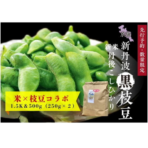 【先行予約】新丹波黒枝豆（250g×2パック）＆令和8年産 特別栽培米 丹後こしひかり 白米1.5kgセット