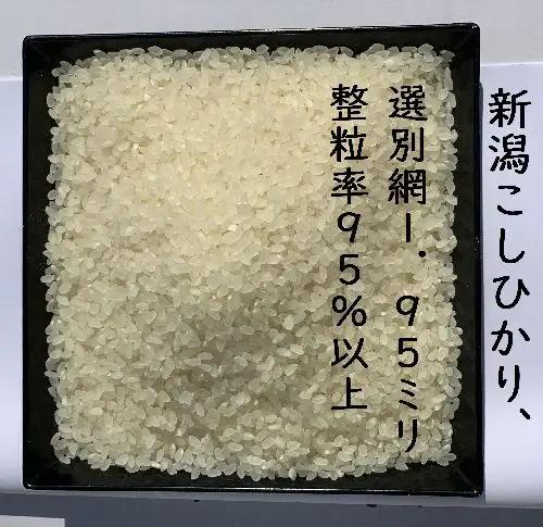 【令和8年産新米】 新潟県産 「従来こしひかり」 無洗米 10kg（5kg×2袋） 阿賀野市産 中島農場 精米 新潟県 米 こめ コメ お米 ごはん ご飯 農家直送 色彩選別済 新米 令和8年産  3