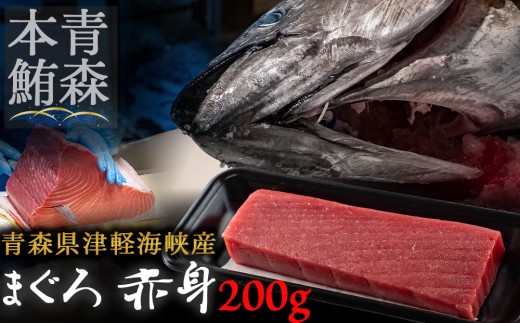 ＜引き締まった旨味＞津軽海峡産まぐろ(赤身200g)【1047537】