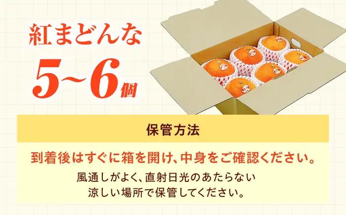 紅まどんな 1箱 5-6個入 フルーツ 果物 みかん BJBI003