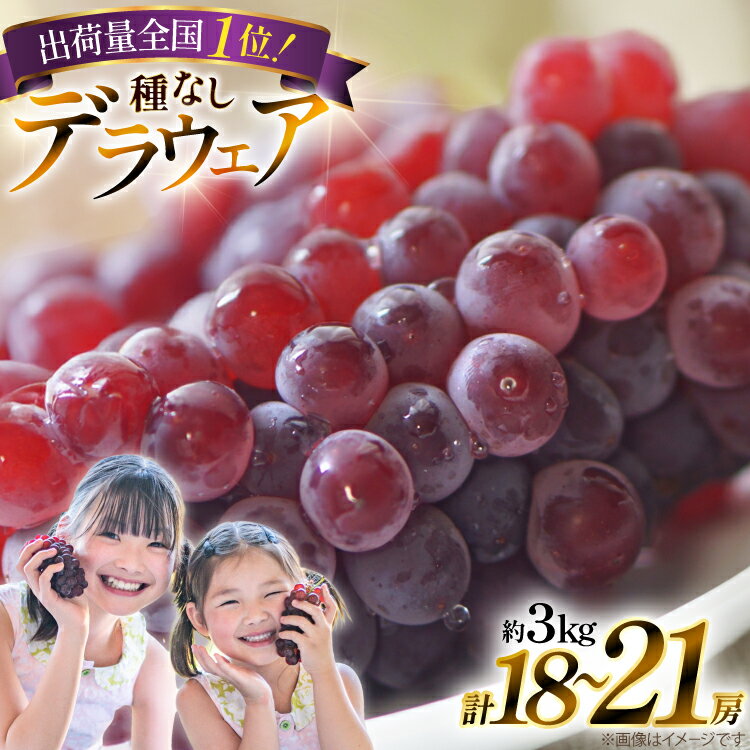 【ふるさと納税】 【期間限定発送】 ぶどう デラウェア 秀品 18〜21房 約3kg [治右衛門果樹園 山形県 高畠町 tk06ays830020] 種無し ブドウ 葡萄 くだもの 果物 フルーツ 産地直送 農家直送 期間限定 甘い 種なし