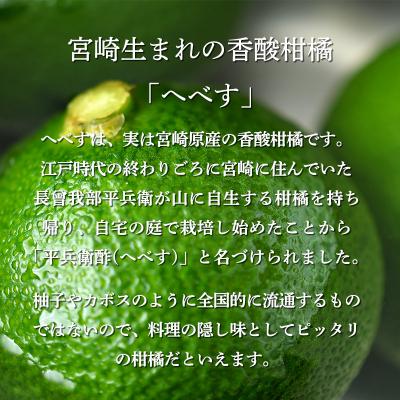 ふるさと納税 高原町 宮崎の特産柑橘へべすの手搾り果汁1L(業務用) TF789 |  | 02