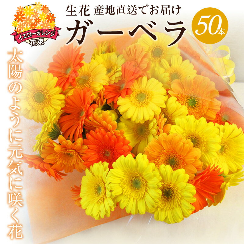 【ふるさと納税】【ラッピング付】 生花 イエロー ガーベラ 花束 50本 高さ 約55cm 幅 約40cm 日付指定可能 ギフト プレゼント ラッピング 誕生日 記念日 結婚記念日 出産祝い 産地直送 インテリア お花 お取り寄せ 碧南市 送料無料