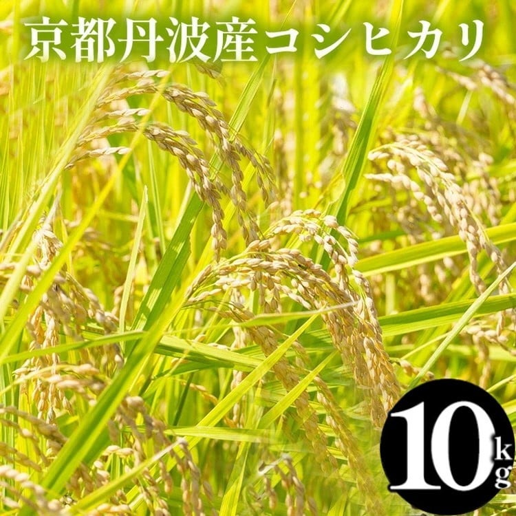 
            【12月末まで】京都丹波産 新米 こしひかり 精米 5kg 2袋 総量 10kg【JA京都たわわ朝霧】白米 米 お米 こめ コメ ライス ご飯 ごはん ふっくら つやつや おいしい 美味しい 贈り物 JA京都 たわわ朝霧 単一原料米 簡易包装 国産 コシヒカリ 仕送り お取り寄せ 令和7年産米 産地直送 人気 おすすめ 5キロ 10キロ ５ｋｇ １０ｋｇ
          