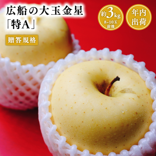 年内 贈答規格 広船の大玉金星約3kg「特A」【広船アップルクラブ・平川市広船産・青森りんご・12月】