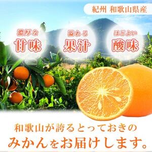 【2024年4月より発送】初夏のみかん　なつみ3kg【配送不可地域：離島】【1327770】