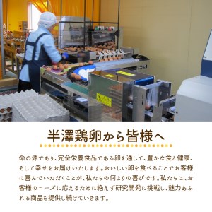 卵 50個 いではのもみじ 紅 ブランド卵 新鮮たまご 卵
