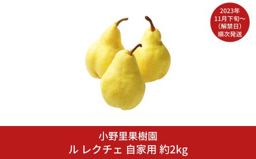 
ル レクチェ 自家用 約2kg(5～7個) ル・レクチェ 新潟県産 洋梨 [小野里果樹園] 【010S392】
