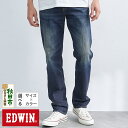 【ふるさと納税】EDWIN 503 レギュラーストレートパンツ MENS【2色／8サイズ】E50313