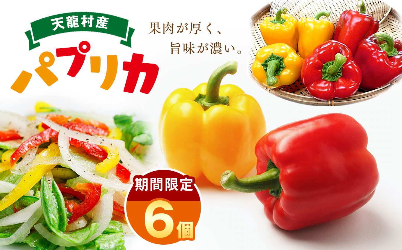 
            【期間限定☆】果肉が厚く旨味が濃い 天龍産パプリカ 6個セット | 食品 野菜 パプリカ サラダ ピクルス 天龍村産 信州伝統野菜 長野県 南信州 天龍村
          