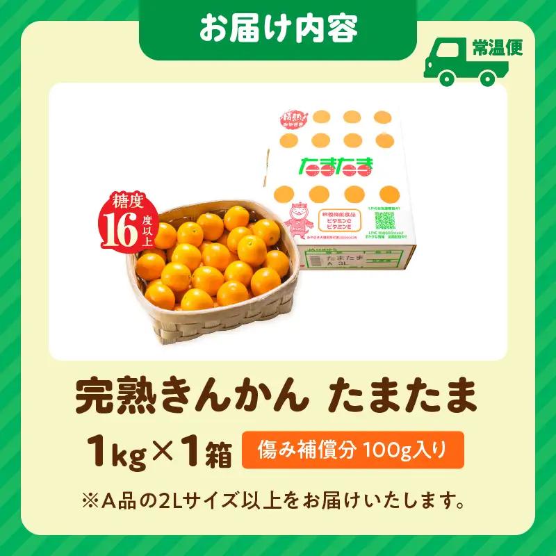 糖度16度以上 完熟 きんかん たまたま 計1kg以上 傷み補償分入り_BAV15-26