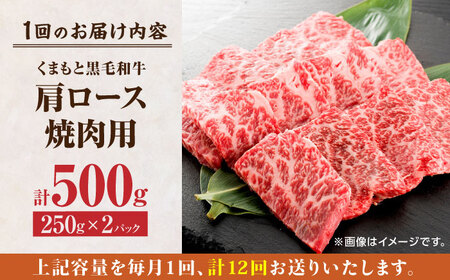 【12回定期便】くまもと黒毛和牛 焼肉用 肩ロース 500g（250g×2pc）【馬刺しの郷 民守】 熊本県産 九州産 和牛 お肉 肉 バラ 黒毛和牛 熊本肩ロース 肩ロース 焼き肉 焼肉 黒毛和牛定