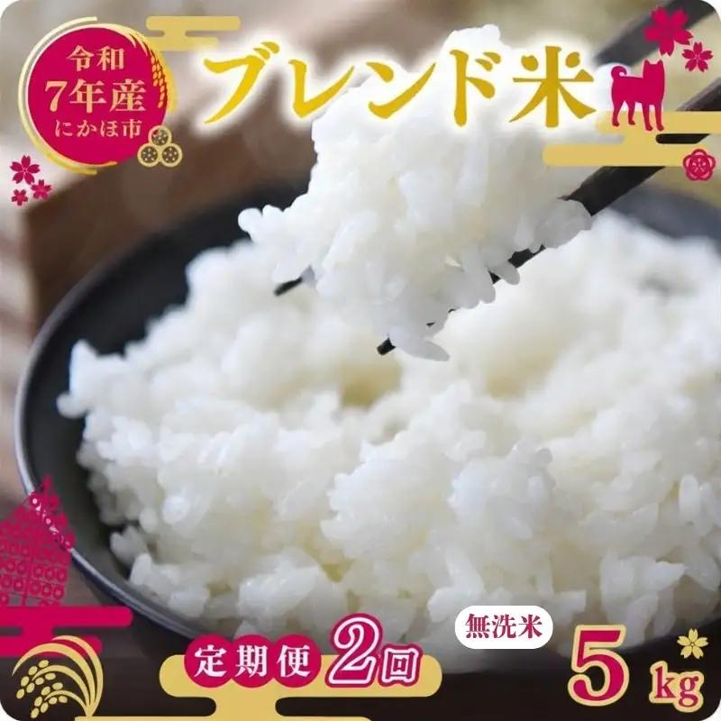 【定期便2か月】無洗米 ブレンド米 5kg  令和7年度産 無洗米
