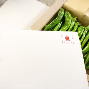 【2024年夏発送】 京野菜 「万願寺とうがらし」 箱入り 1kg 2～4人用 からくない！肉厚甘い 逸品