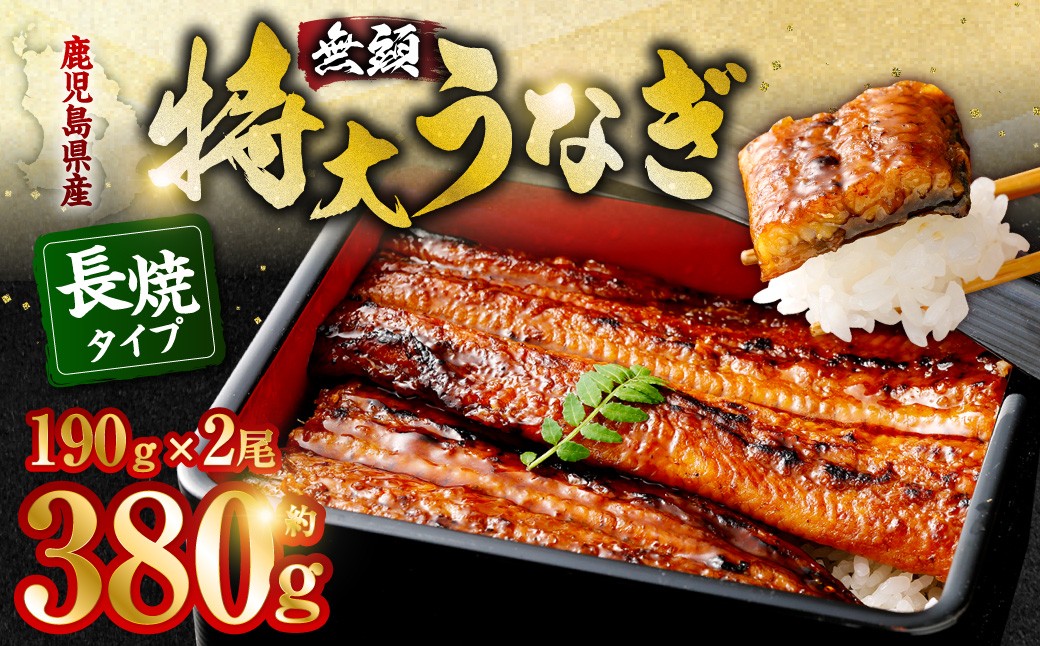 
AS-840 九州産うなぎ蒲焼 2尾 食べごたえある2人前

