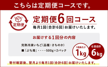 いちご 【6ヶ月定期便】冷凍いちご 1㎏ (500g×2パック) 【定期便6ヶ月】完熟冷凍いちご「ぷち苺」1kg 500g×2パック 園村苺園 熊本県産冷凍いちご 宇城市産冷凍いちご 九州産冷凍いちご