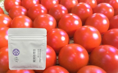 【2025年10月下旬より発送】安田町産 完全天日塩 新鮮とトマト セット 先行受付 完熟 トマト と 完全天日塩 セット  産地直送 新鮮 もぎたて 塩職人 手作り  人気 おすすめ ランキング 野