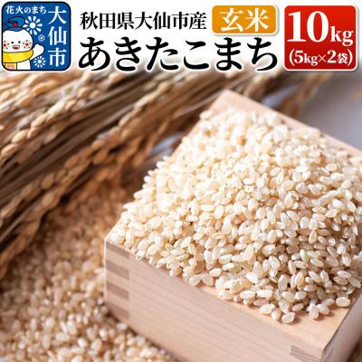 ふるさと納税 大仙市 米【令和7年産】あきたこまち 玄米 10kg|22_yss-021001
