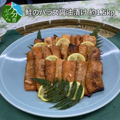 ふるさと納税 大分市 鮭のハラス醤油漬け 約1.5kg_E22028