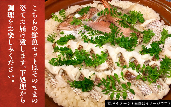 【全4回定期便】【五島列島・直送】朝獲れ！高級鮮魚セット2kg 五島市 / 鯛福丸水産 [PDP005]