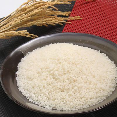ふるさと納税 大潟村 【毎月定期便】あきたこまち特別栽培精米2kg全3回 |  | 01