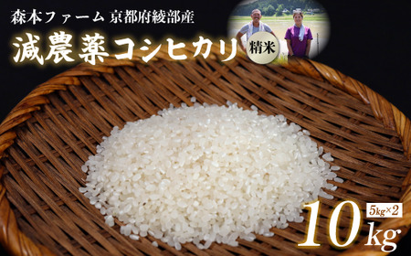 【令和7年産 先行予約】 減農薬コシヒカリ 精米 10kg 【 米 コシヒカリ こしひかり 5キロ 精米 白米 お米 おこめ 】
