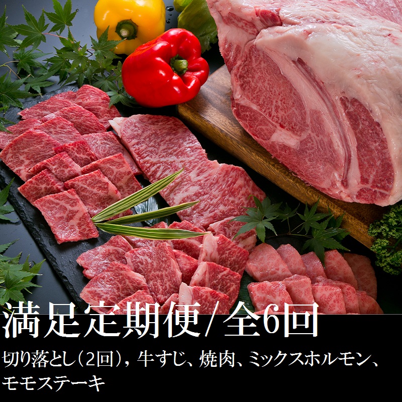 【E01009】満足定期便満腹セット〈6回定期便〉