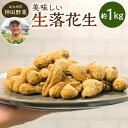 【ふるさと納税】神田野菜の美味しい 生落花生（おおまさり）1kg 落花生 ピーナッツ ピーナツ ナッツ 豆 おつまみ 新鮮 季節 鮮度 冷蔵 国産 福岡県 北九州市 【2024年10月上旬から2025年1月上旬発送予定】