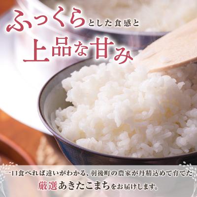 ふるさと納税 羽後町 秋田県羽後町産あきたこまち 精米 10kg(10kg×1袋)[No.5325-0584] |  | 02