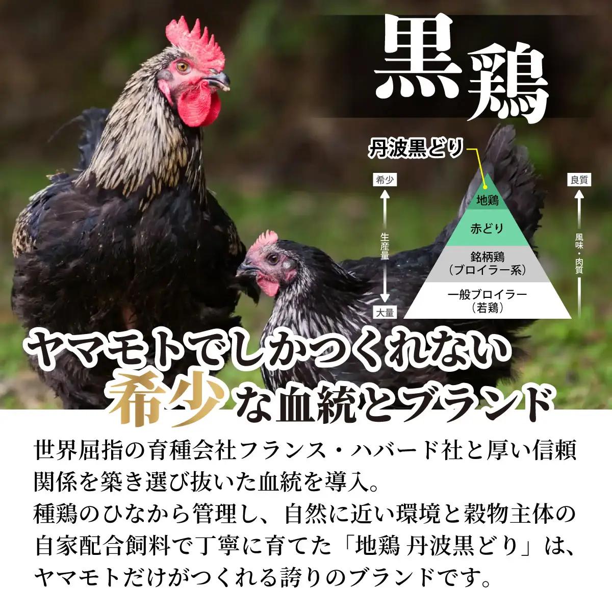 鶏肉 地鶏丹波黒どり2kg・丹波赤どり むね肉 2kg 訳あり鶏肉