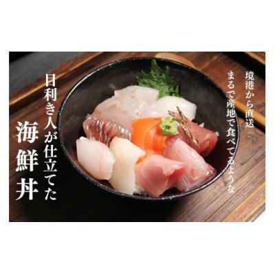 ふるさと納税 境港市 <数量限定>地魚の刺身海鮮丼・漬け丼・茶漬けセット(計370g)