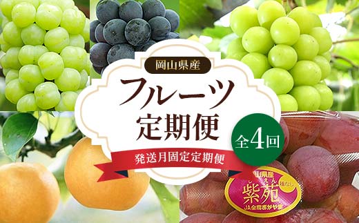 
            ＜発送月固定定期便＞岡山県産 フルーツ定期便全4回【4000244】
          