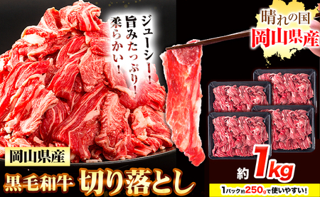 牛肉 黒毛和牛 切り落とし 1kg《30日以内に出荷予定(土日祝除く)》 岡山県 浅口市 牛 牛肉 和牛 牛丼 カレー 小分け 小分けパック 250g 送料無料
