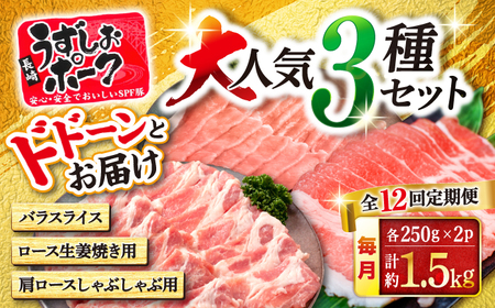 12回定期便 長崎うずしおポーク3種 訳あり CAG221 国産豚 国産豚 国産豚 国産豚 国産豚