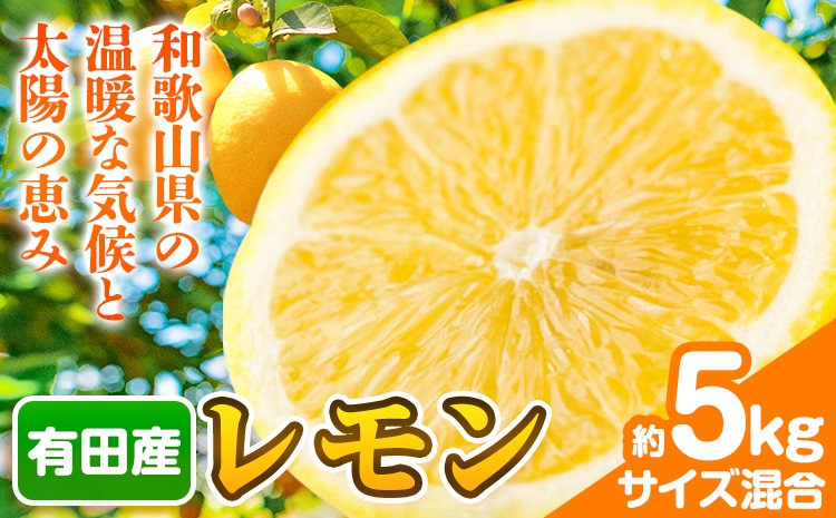 
                  レモン 有田産 約5kg (サイズ混合) 厳選館 《2026年10月中旬-2027年4月中旬頃出荷》 和歌山県 日高町 レモン 柑橘 果物 フルーツ 送料無料
                