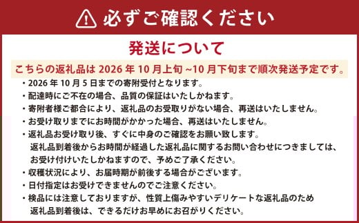 熊本県産 あけび 約3キロ前後 【2026年10月上旬発送開始】 フルーツ 果物 くだもの アケビ 熊本県 国産