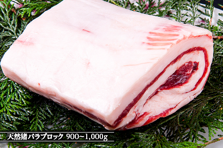 江の川shishi ブロックセット 2.7kg～3kg 猪肉 いのしし肉 イノシシ肉 ジビエ ロース モモ バラ 煮込み用 角煮 焼肉用