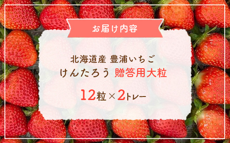 【2026.4月下旬以降順次出荷】贈答用いちご(大粒) 12粒2トレー TYUW006